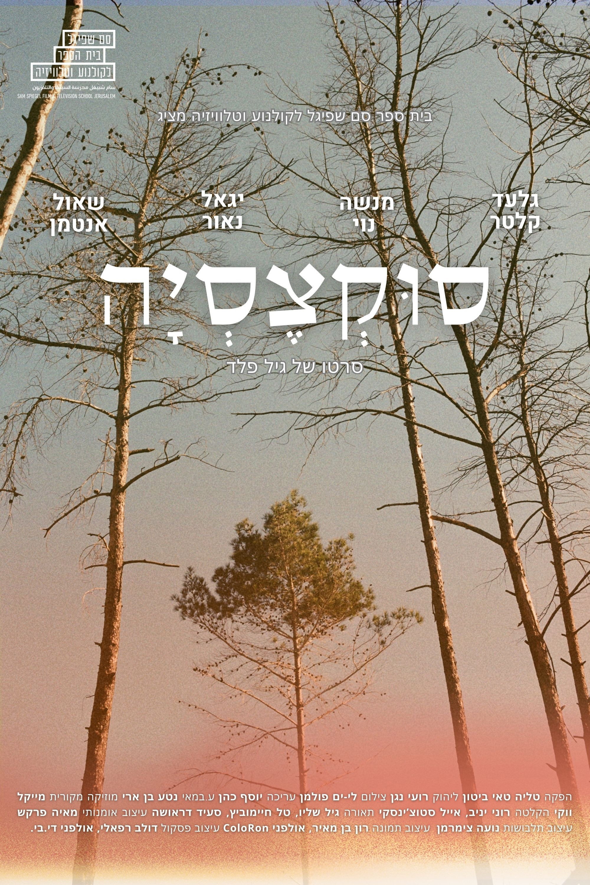 Pines