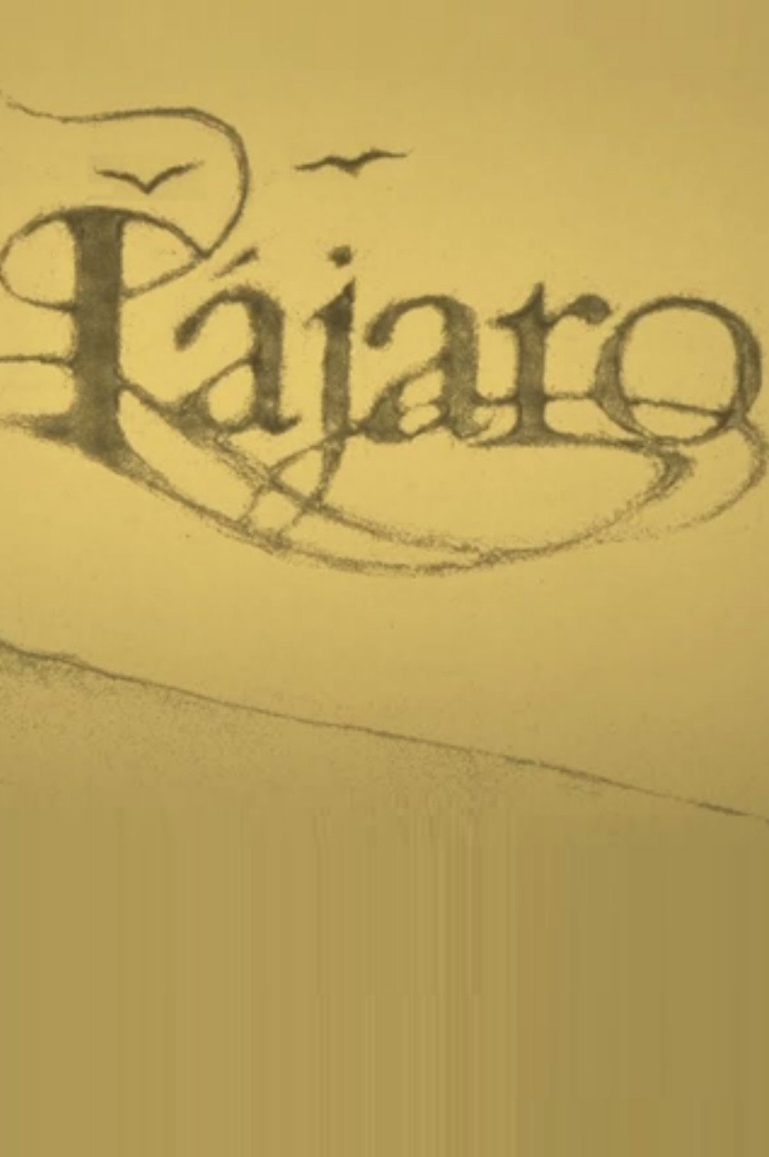 Pájaro