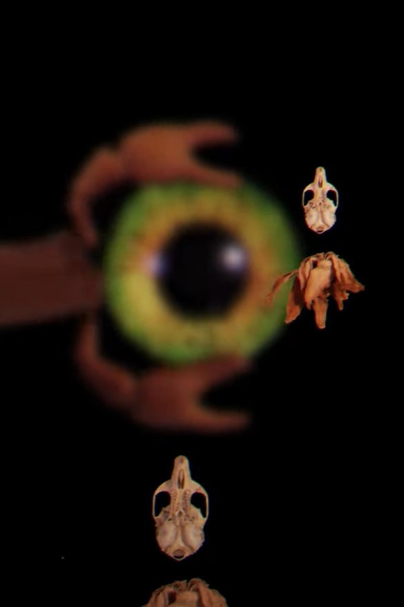 Bestiary Unknown