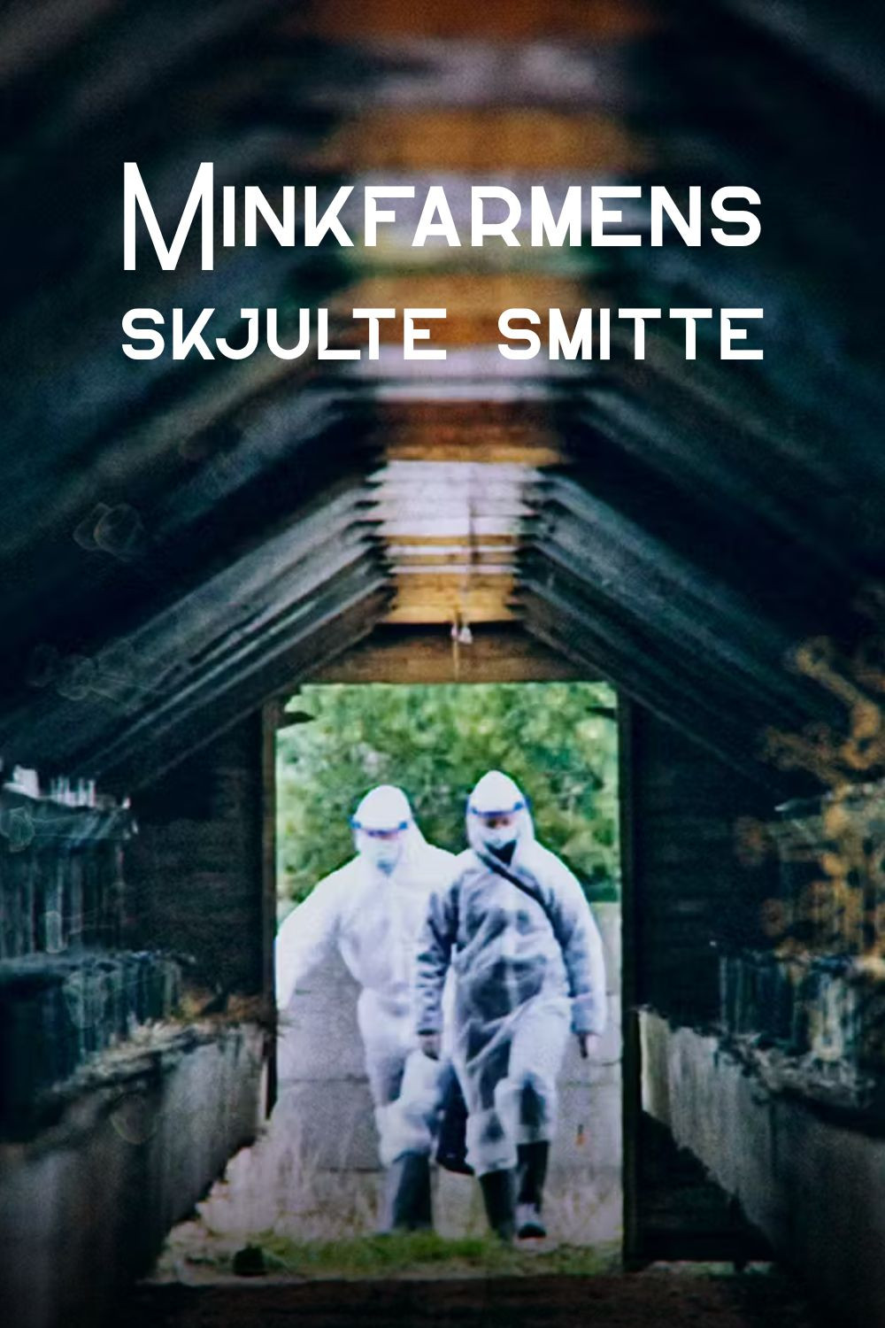 Minkfarmens skjulte smitte