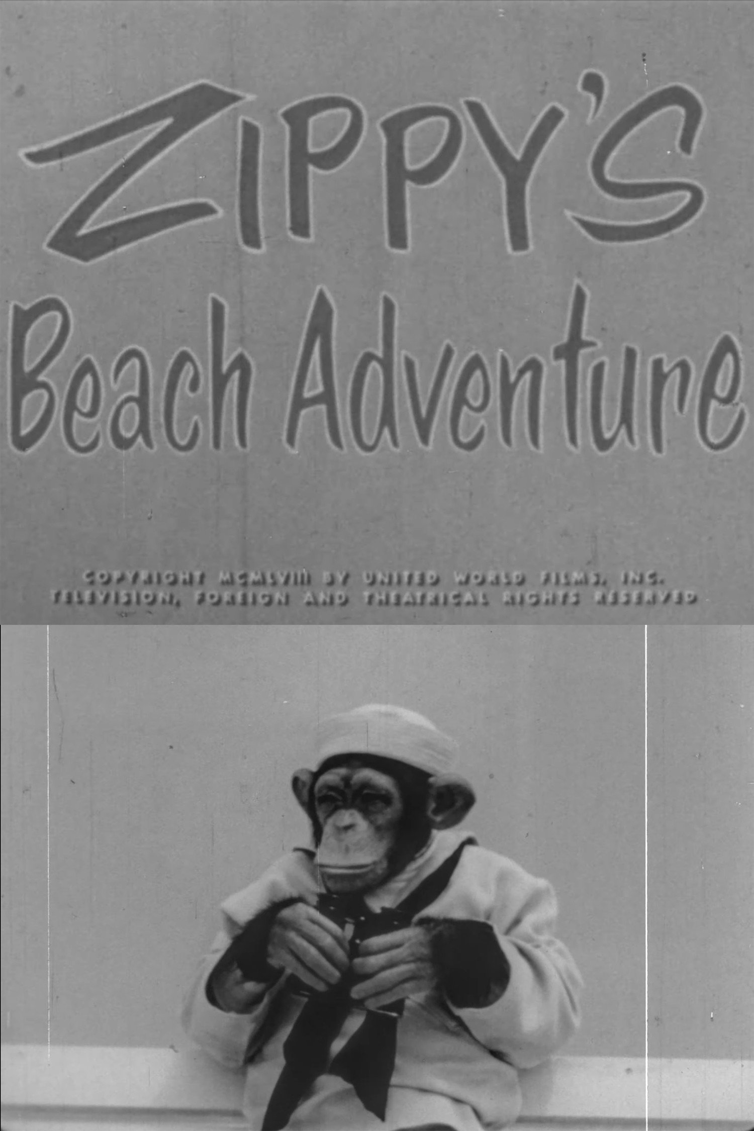 Zippy's Beach Adventure