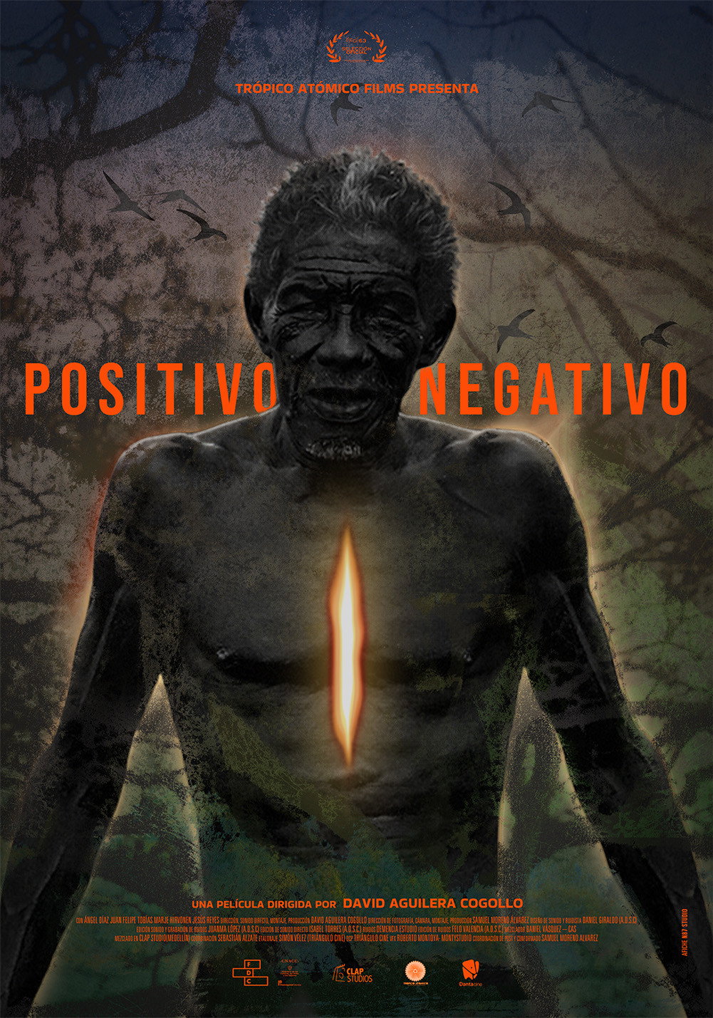 Positivo Negativo
