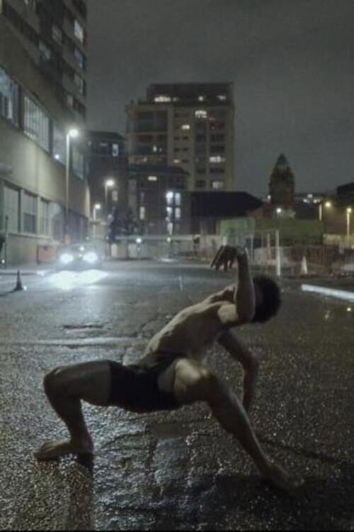 fawns of the city