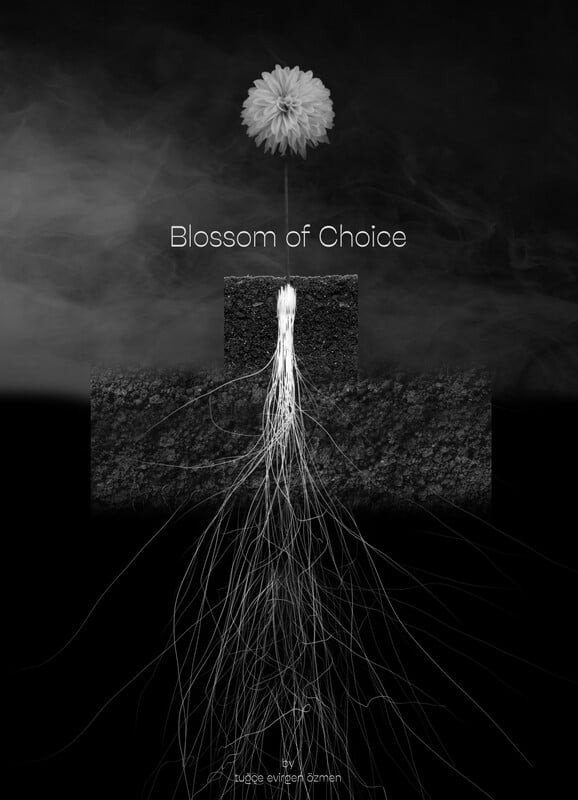 Blossom of Choice