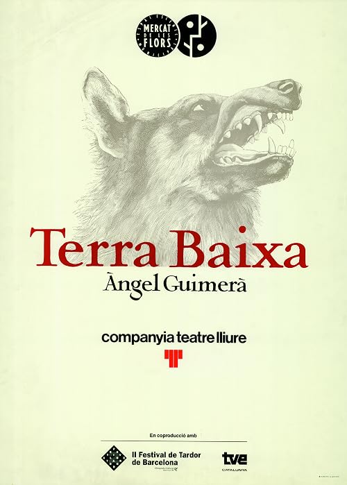 Terra baixa