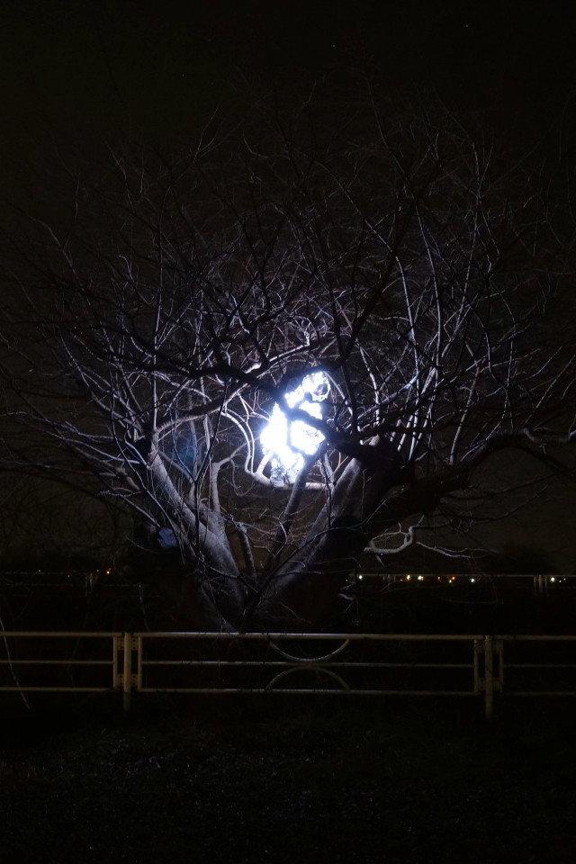 ILLUMINATOR