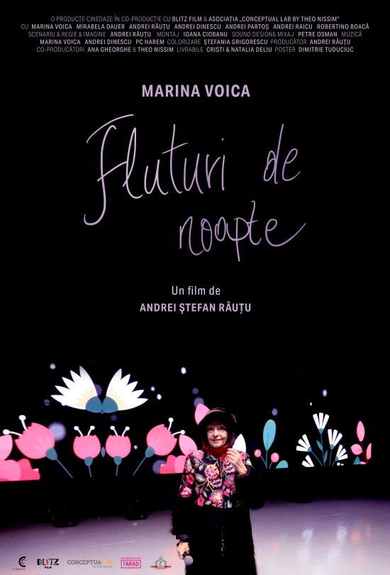 Fluturi de noapte