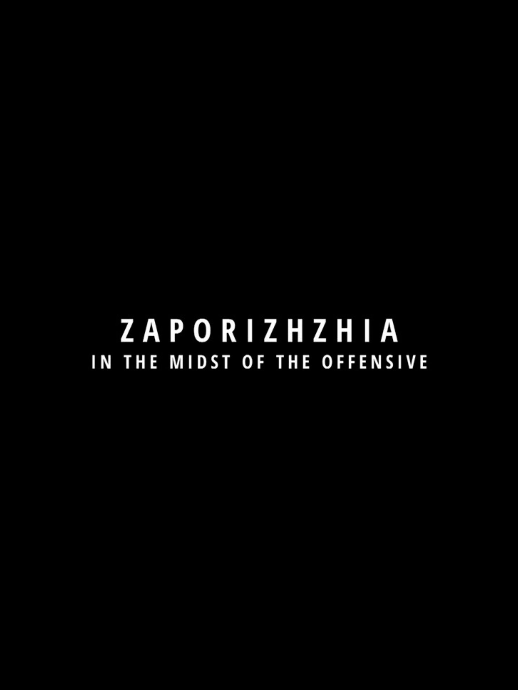 Zaporoże. W środku ofensywy