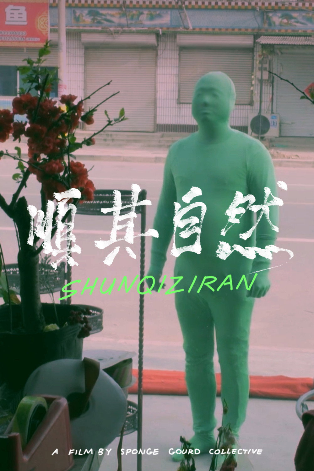 Shunqiziran