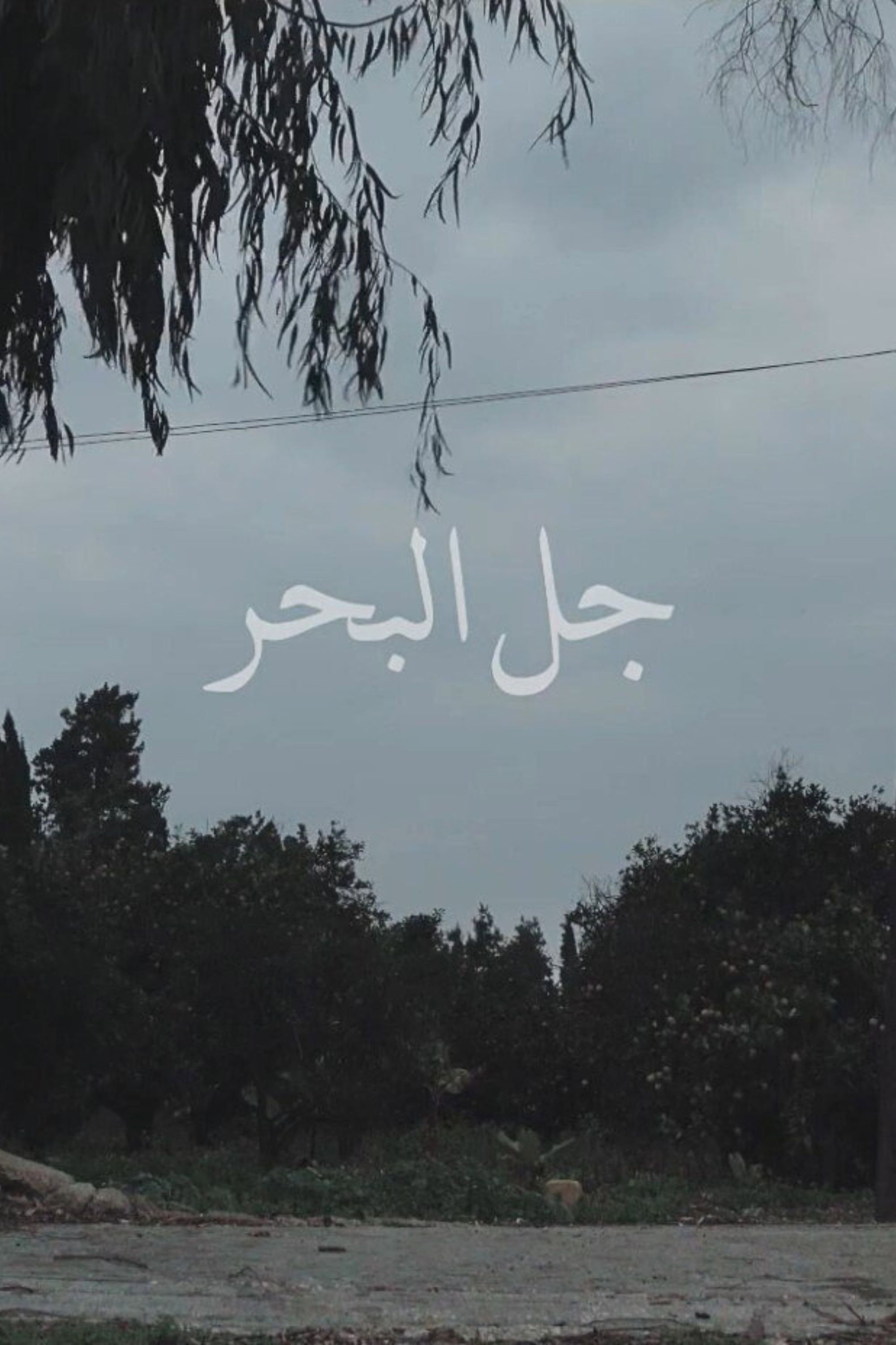 جل البحر