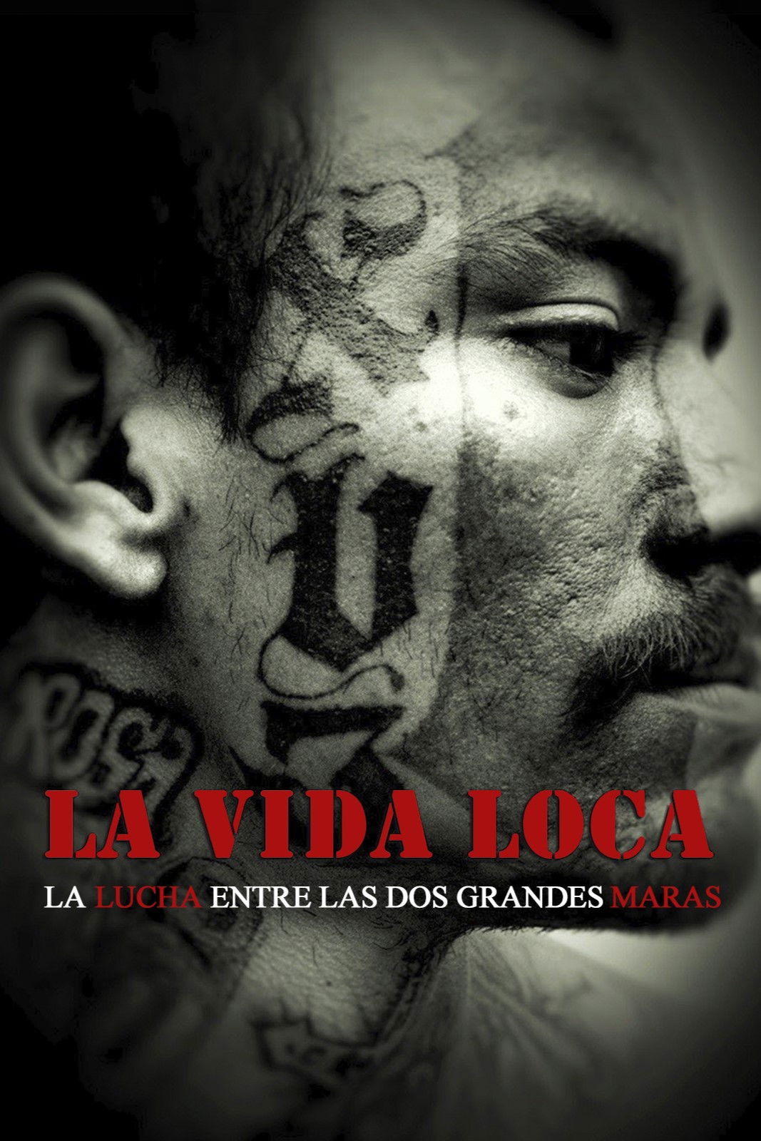 La vida loca