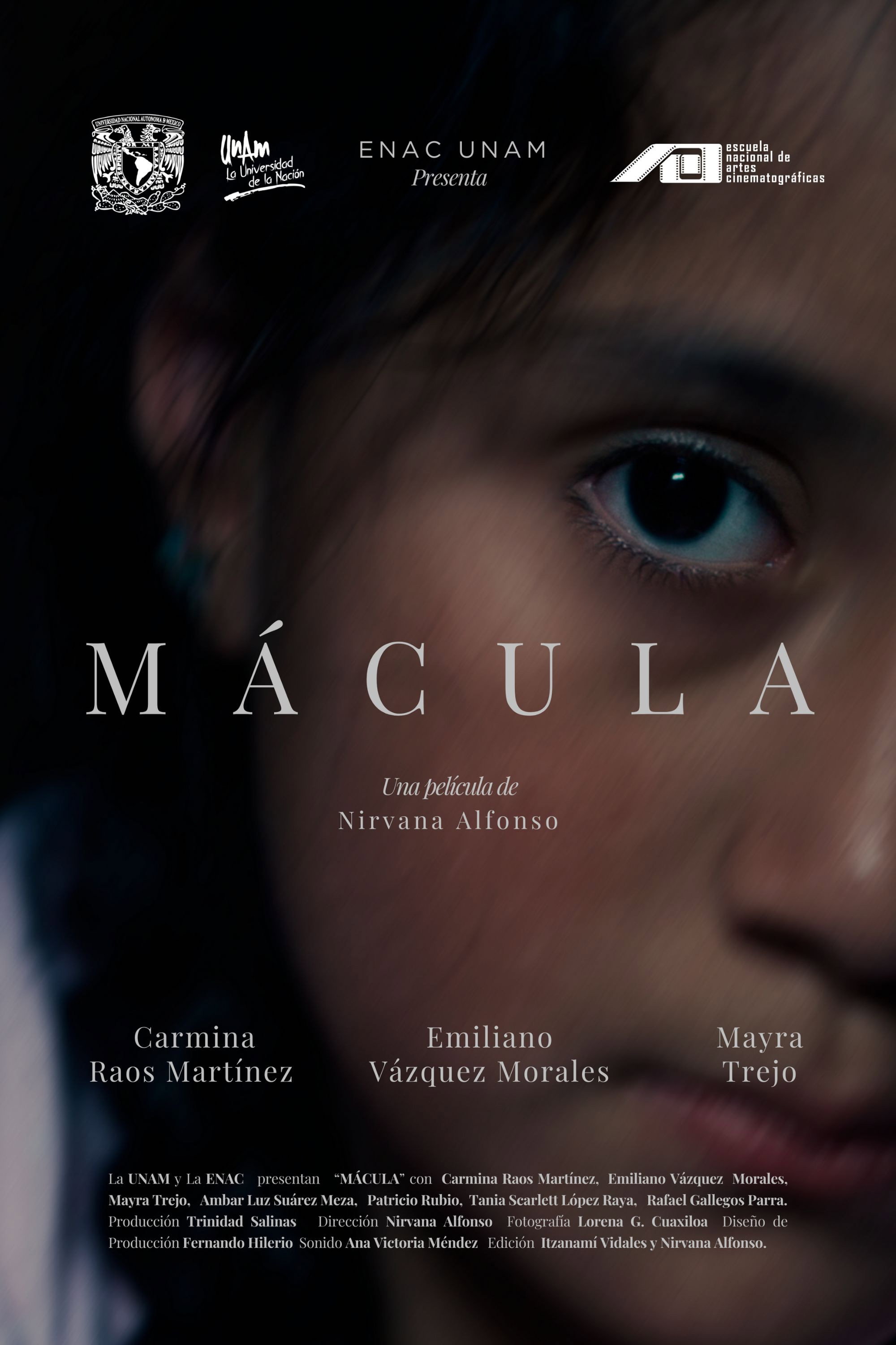 Mácula