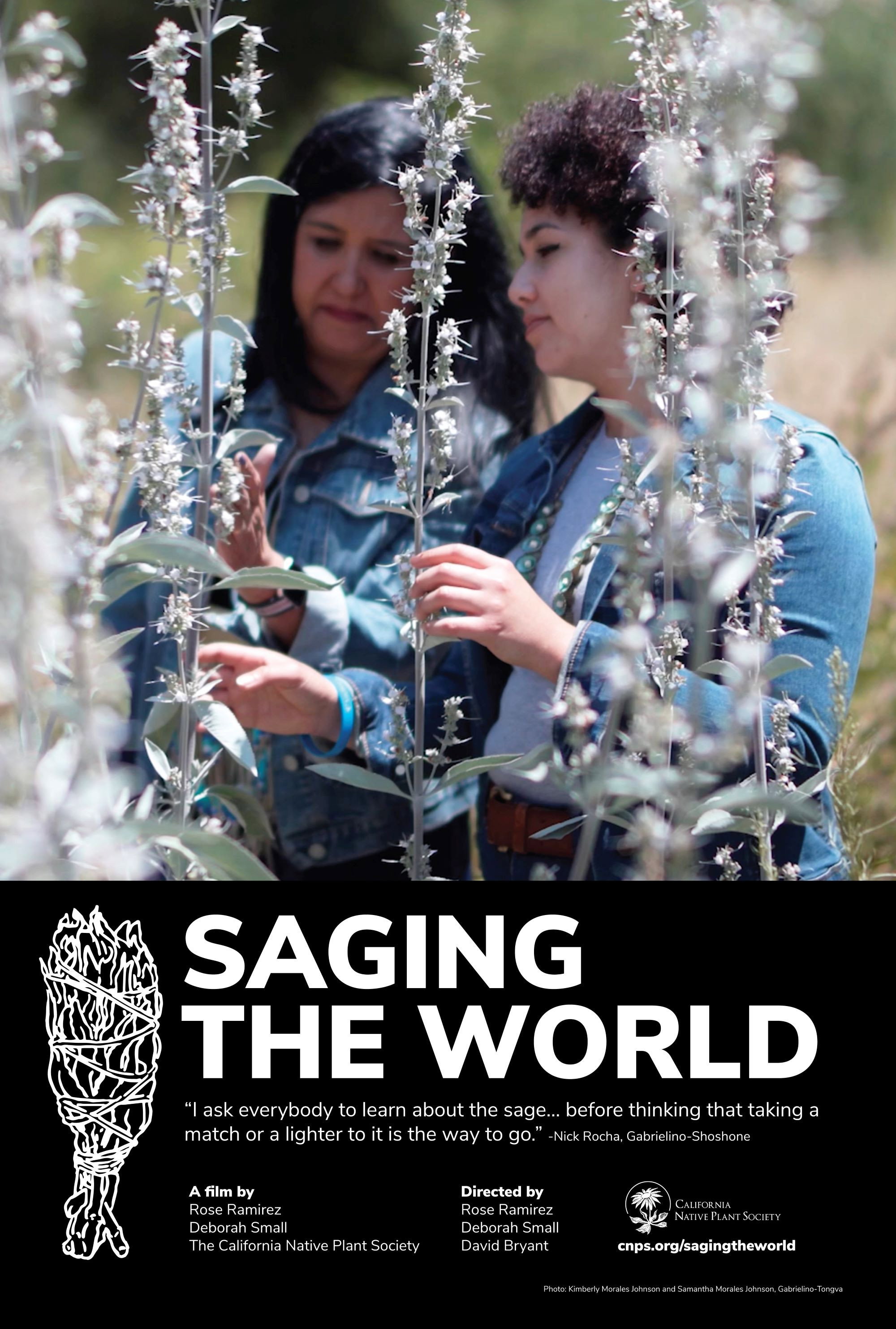 Saging the World