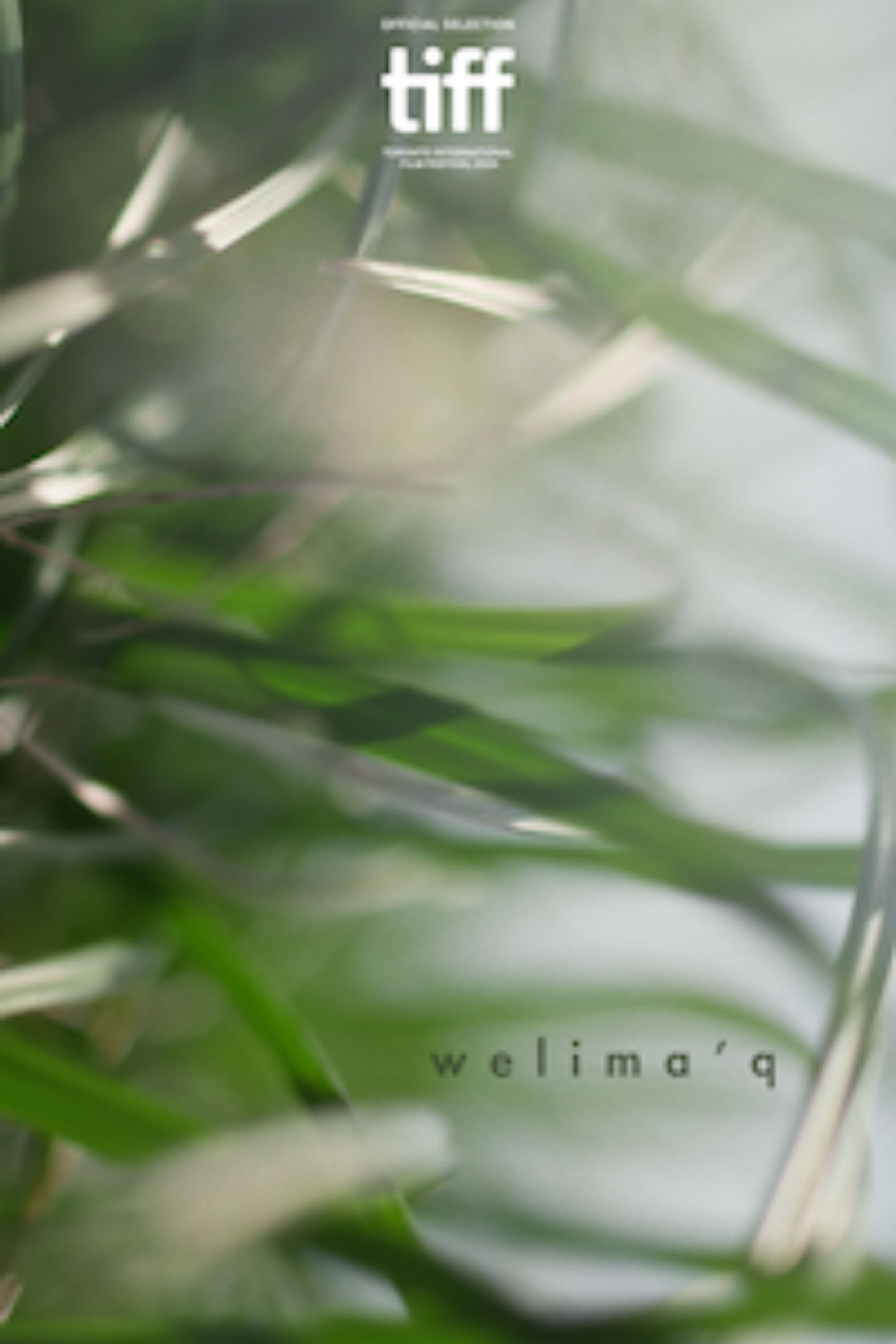 Welima'q