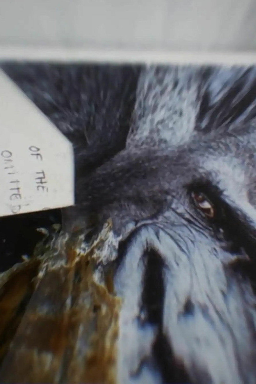 I Remember (depth of flatten cruelty)