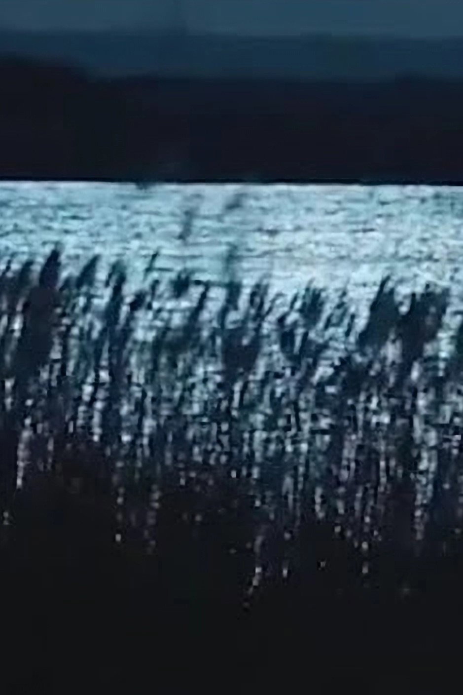 -Pursuit.Strati.Illustri.: Musica dagli Ultimi Giochi & Vocali Errate
