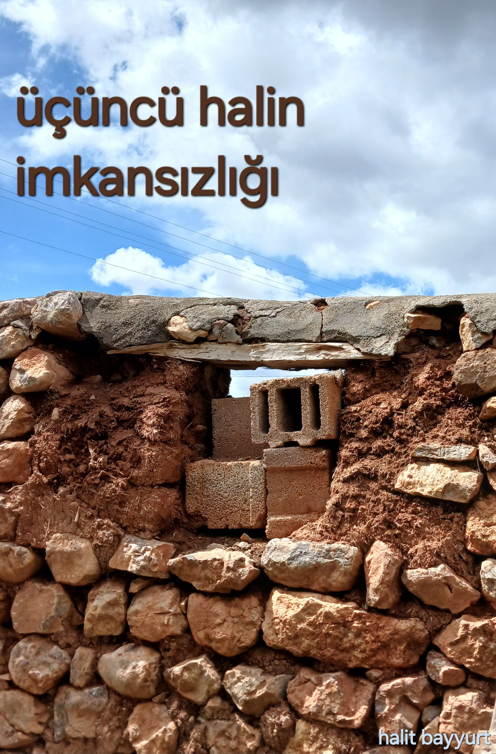 Üçüncü Halin İmkansızlığı