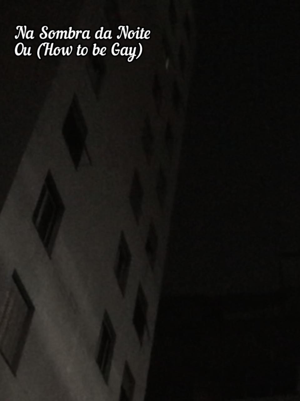 Na Sombra da Noite ou (How To Be Gay)