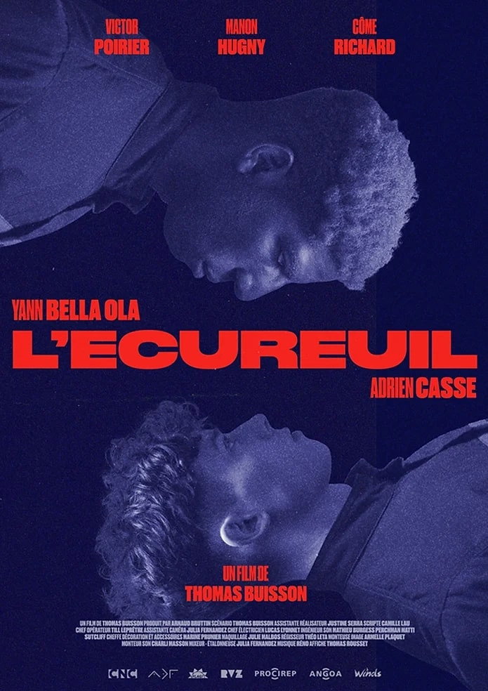 L'Écureuil