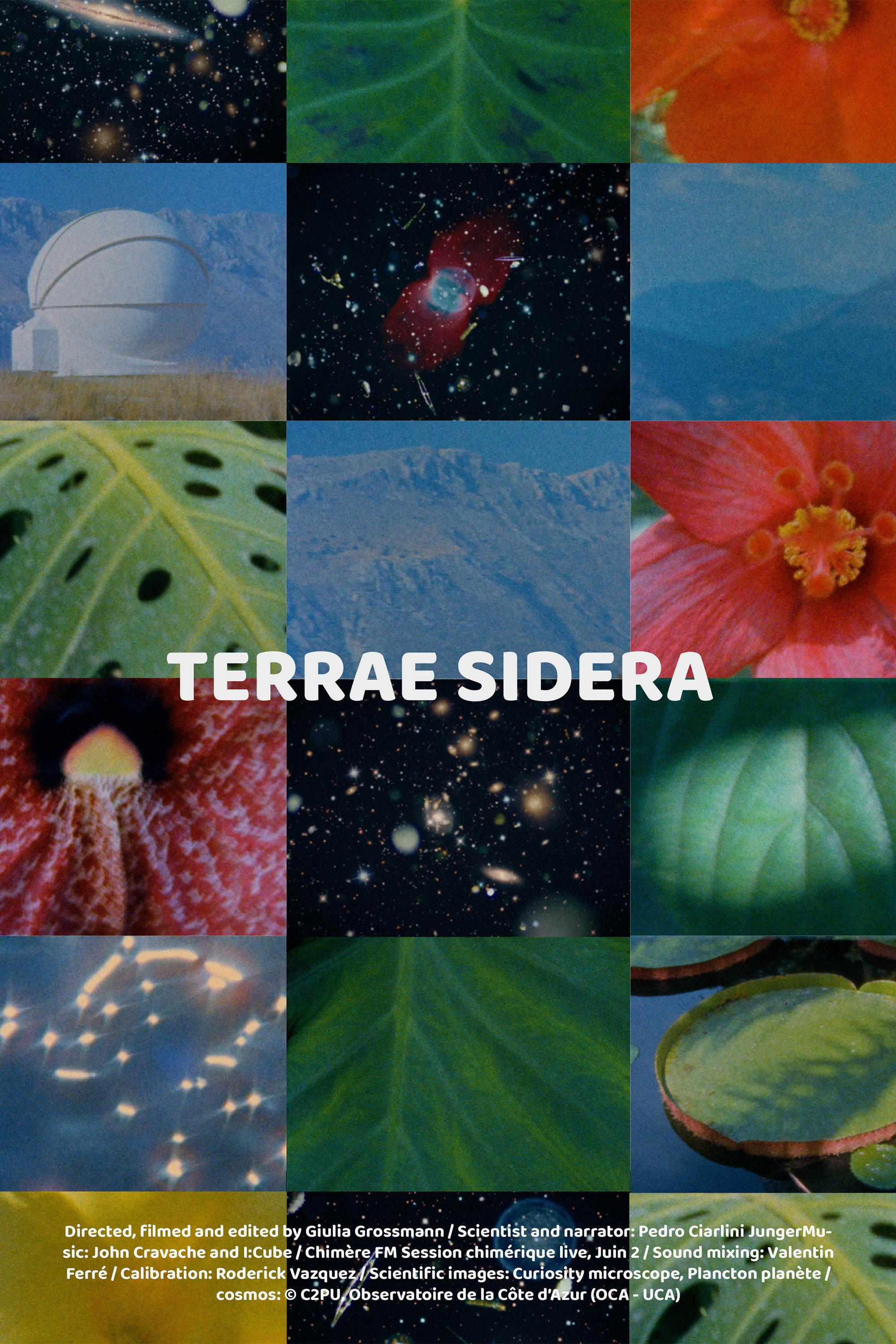 Terrae Sidera