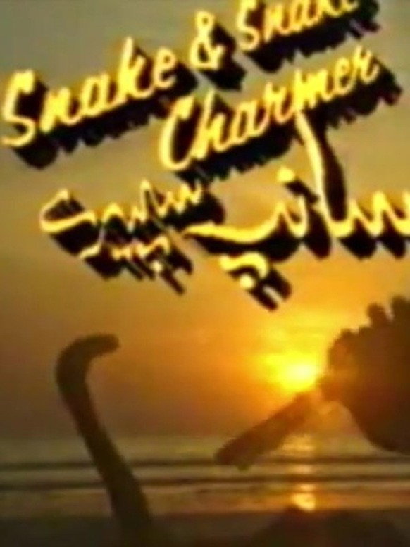Snakes And Snake Charmers