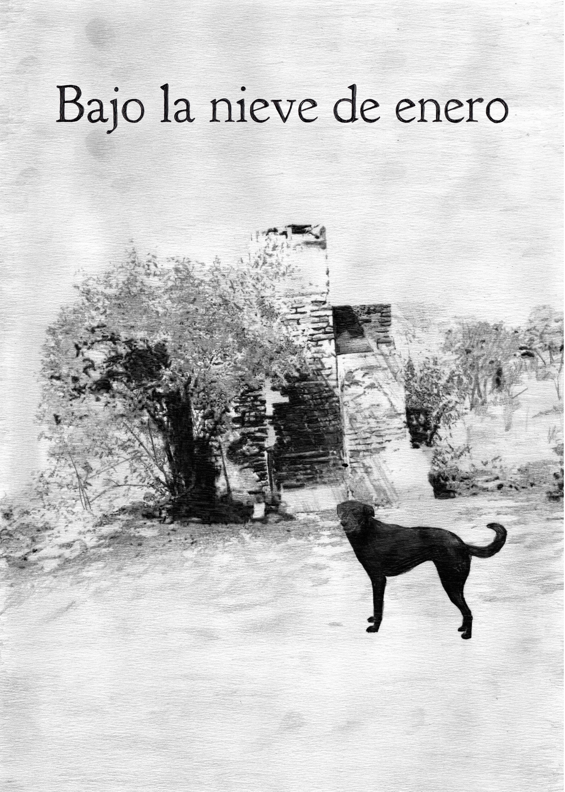 Bajo la nieve de enero