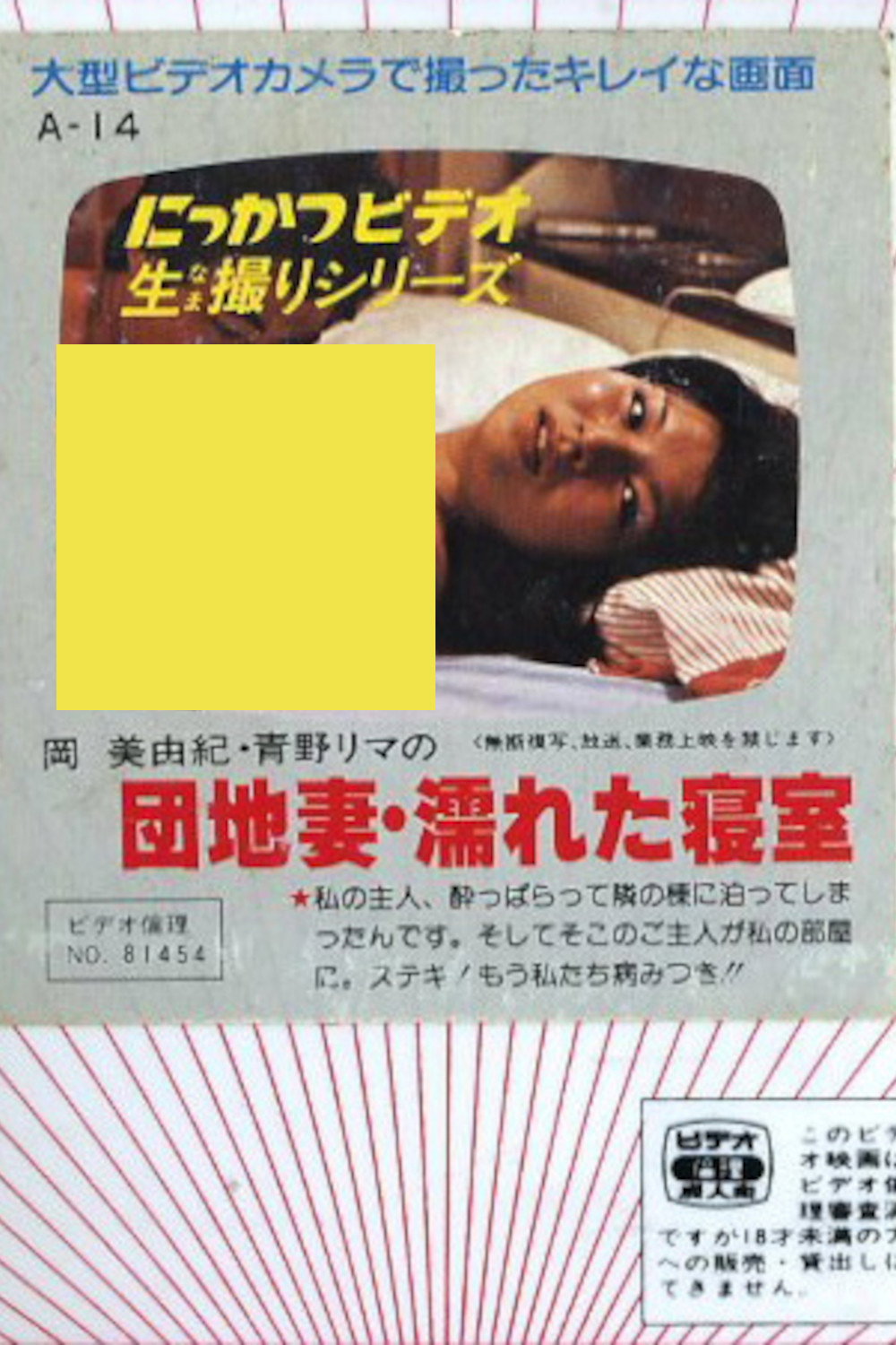 岡美由紀・青野リマの　団地妻・濡れた寝室