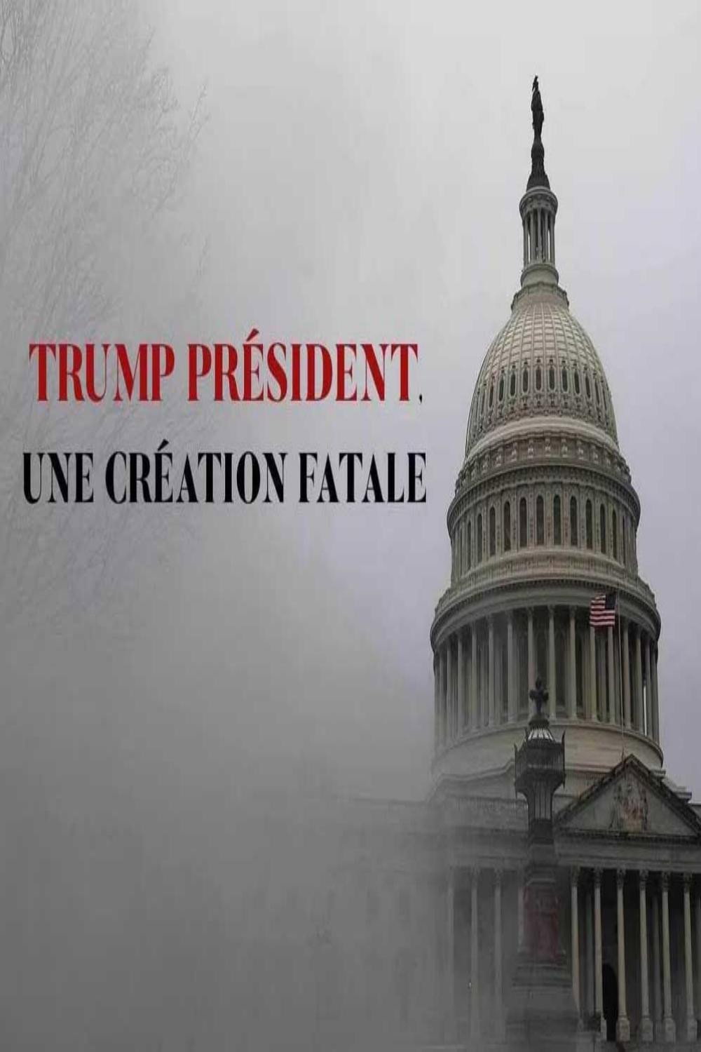 Trump président, une création fatale
