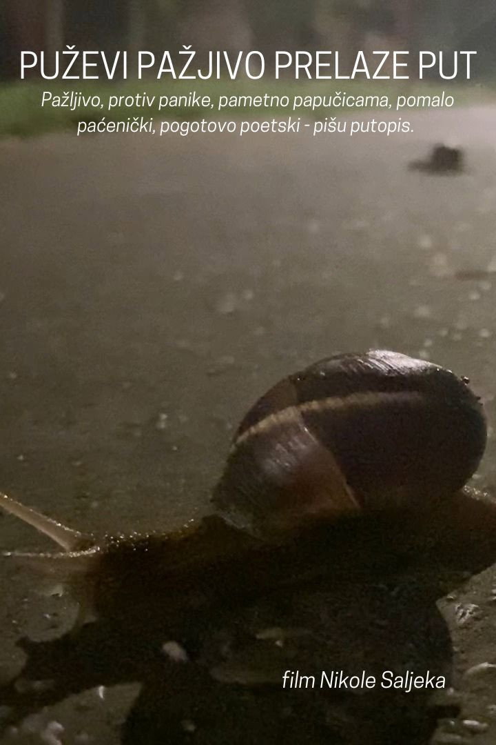 Puževi pažljivo prelaze put