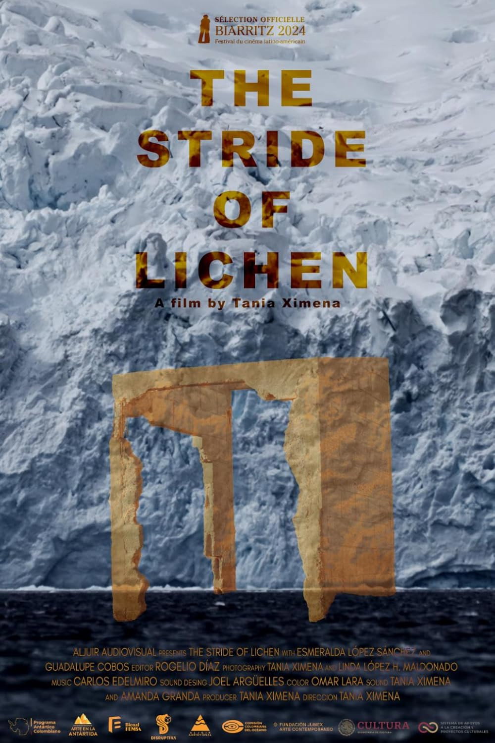 La marcha del liquen