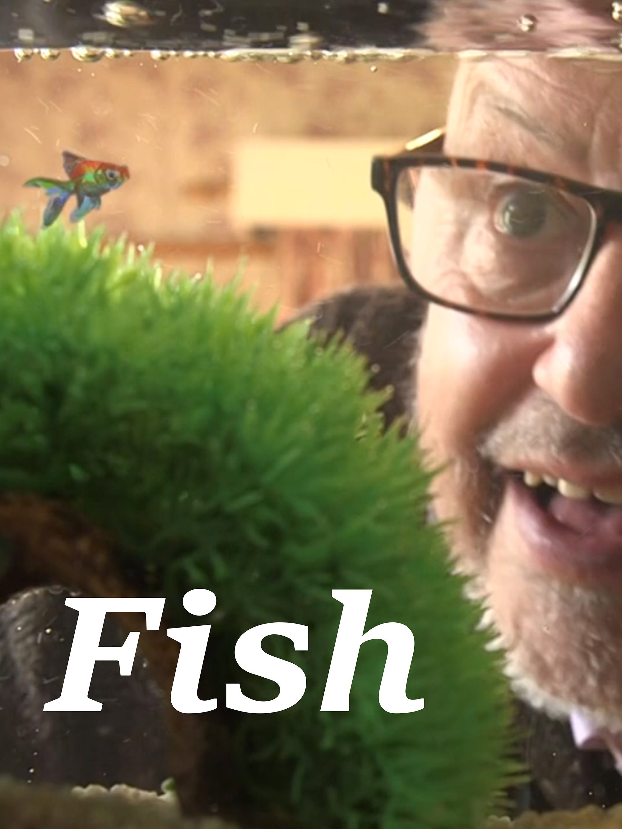 Fish