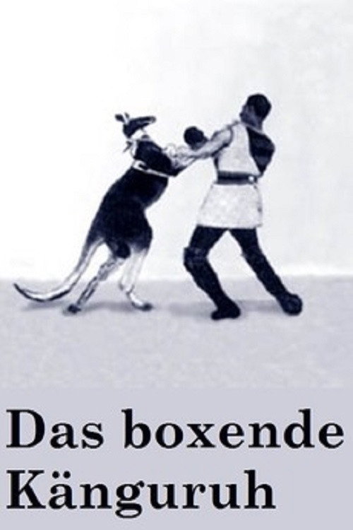 Бокс с кенгуру