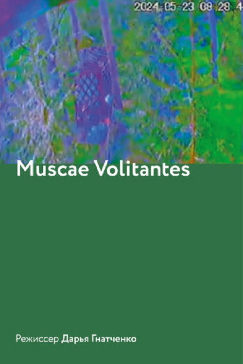 Muscae Volitantes