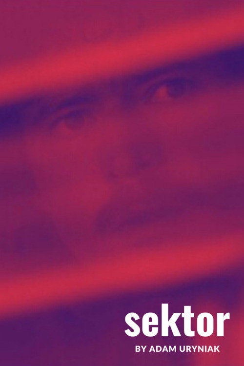 Sektor
