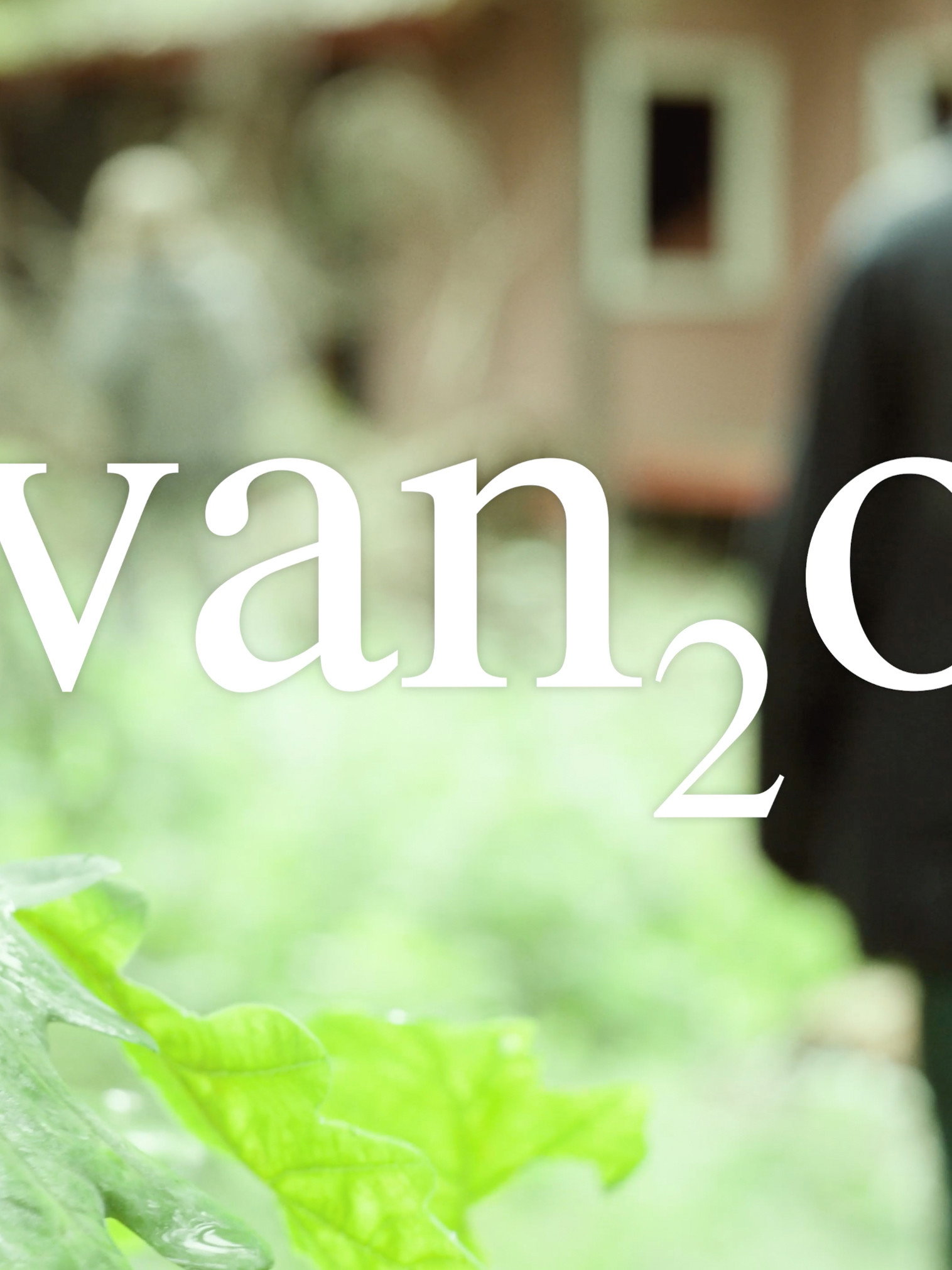 van₂o