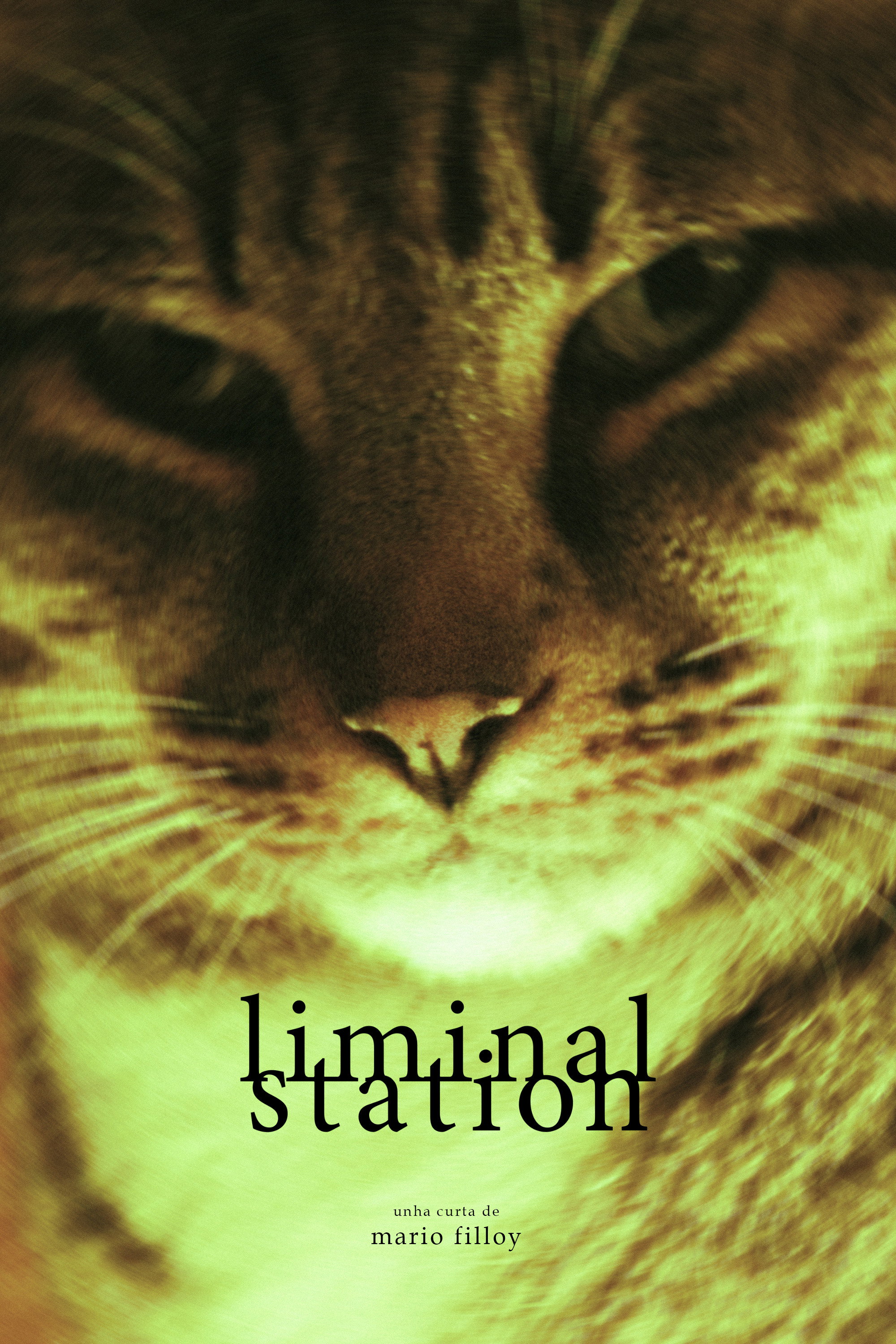 Liminal Station