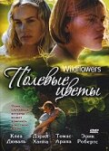 Wildflowers - Geheimnisvoller Sommer