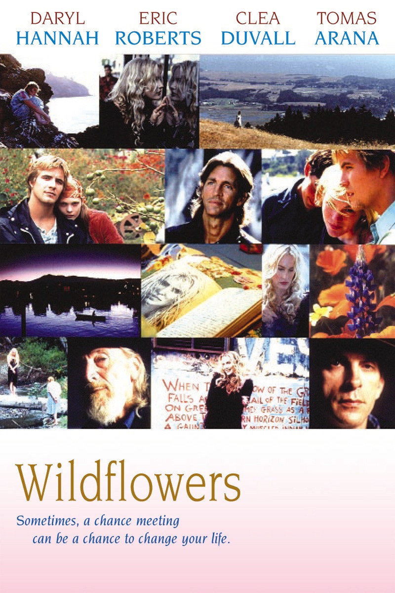 Wildflowers - Geheimnisvoller Sommer