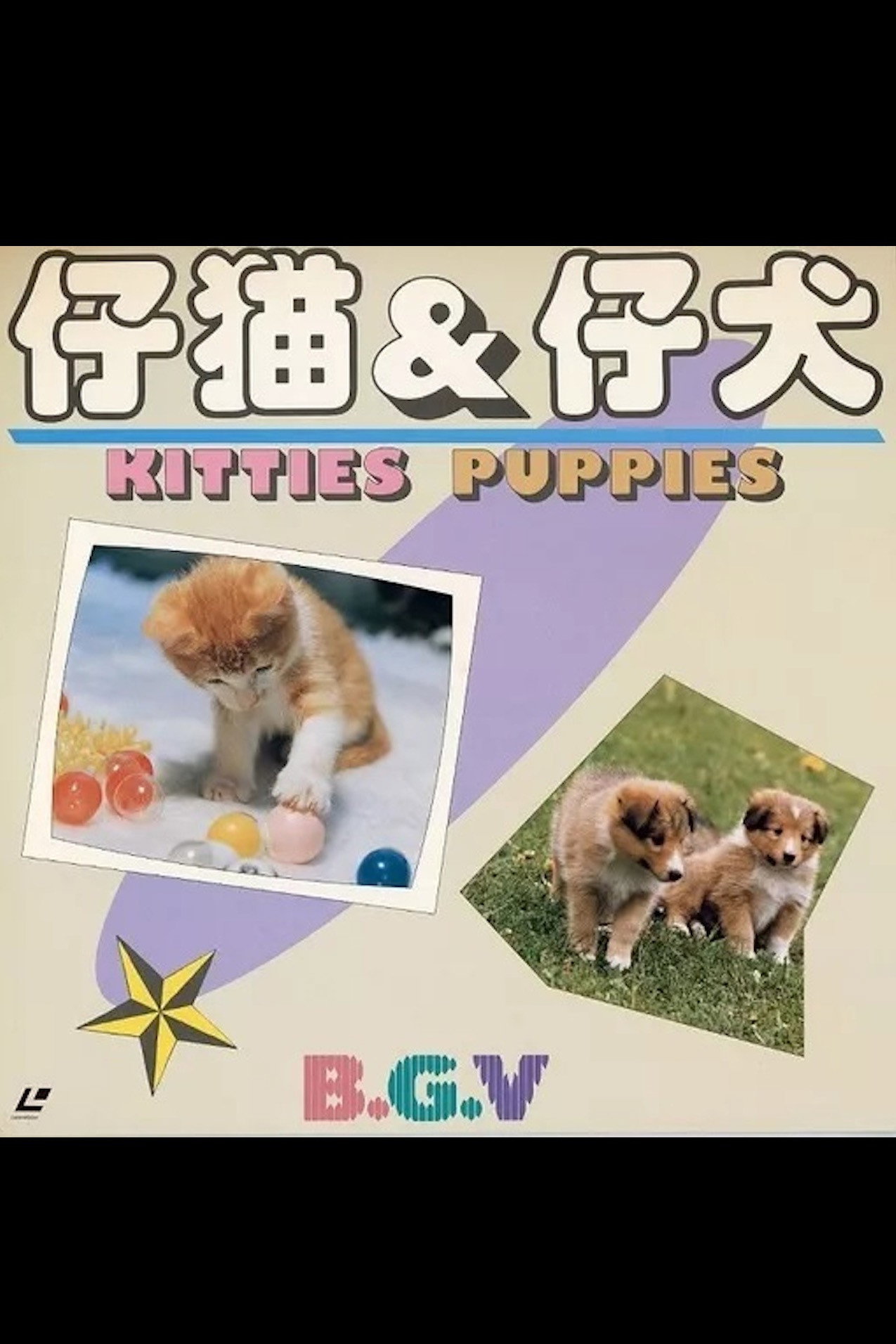 仔猫＆仔犬