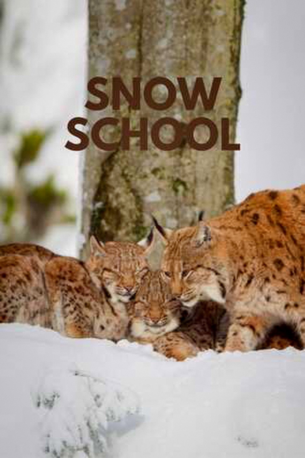 Snow School‎