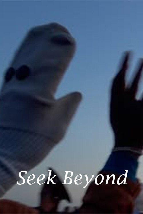 Seek Beyond
