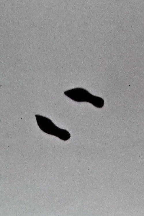Cold Feet