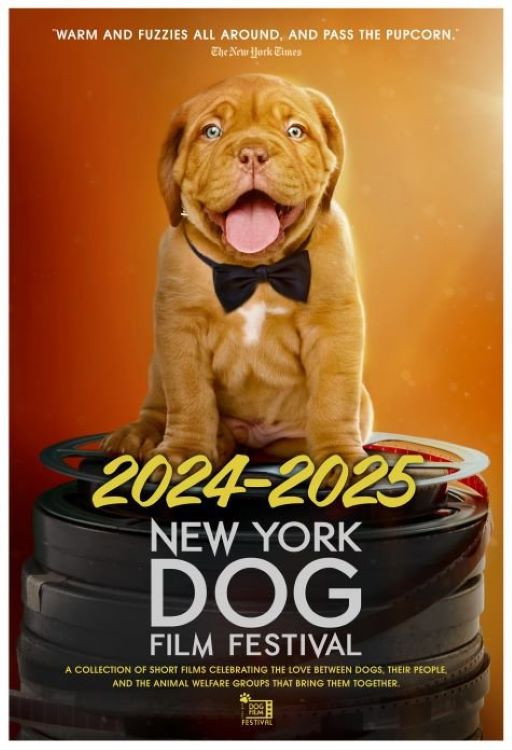 2024–2025 New York Dog Film Festival