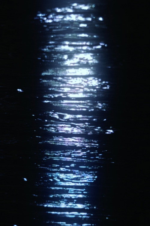 December Lights