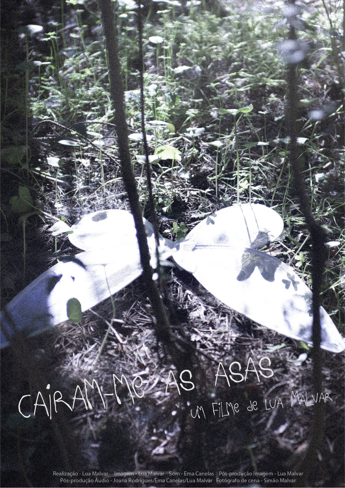 Caíram-me as Asas