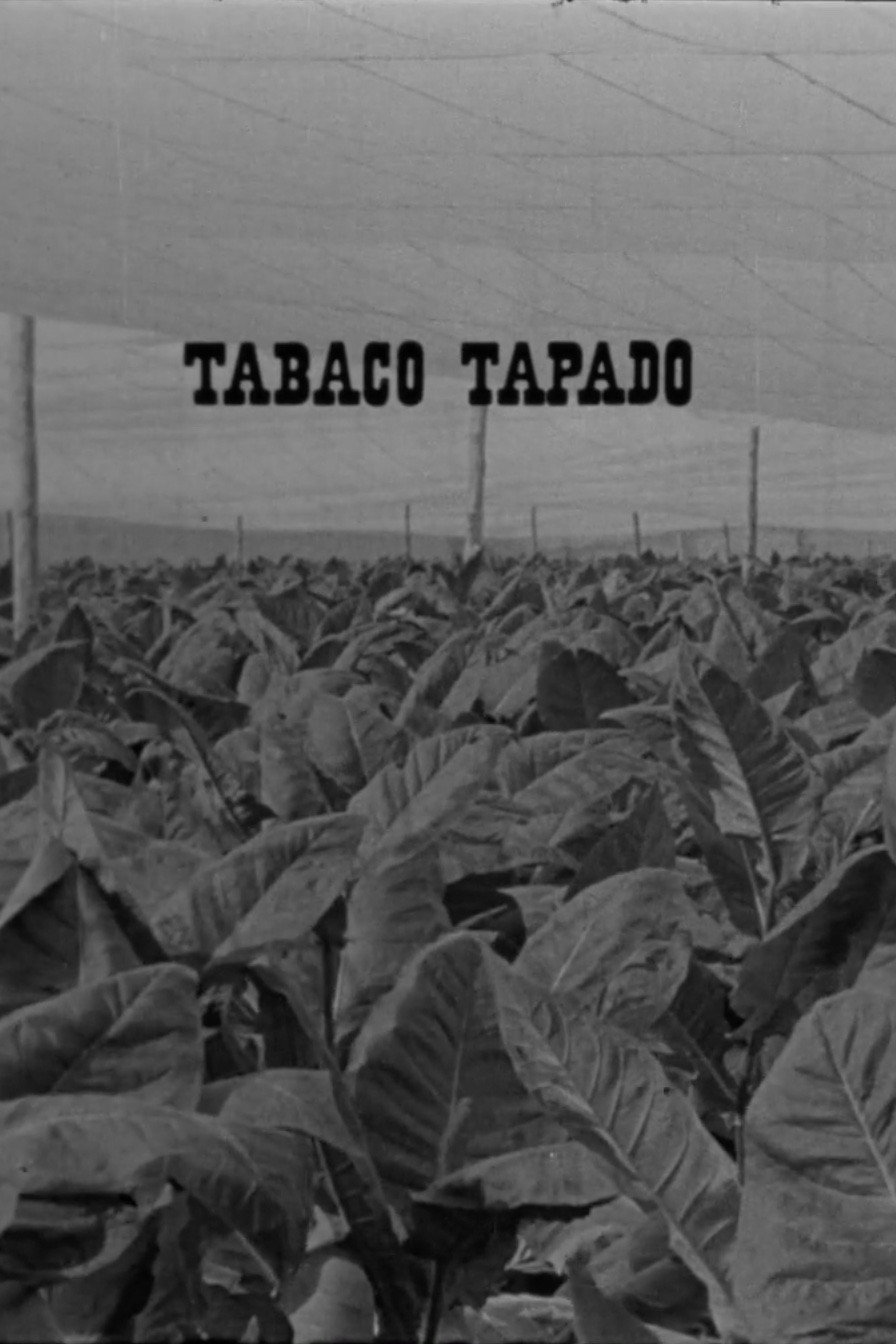 Tabaco tapado