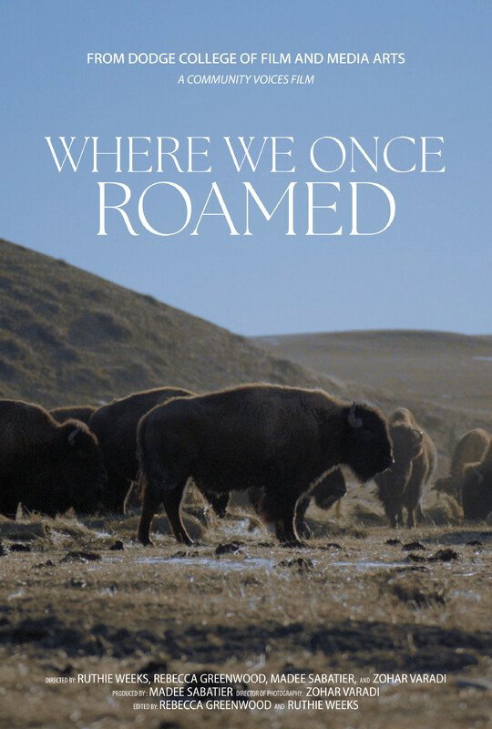 Where We Once Roamed