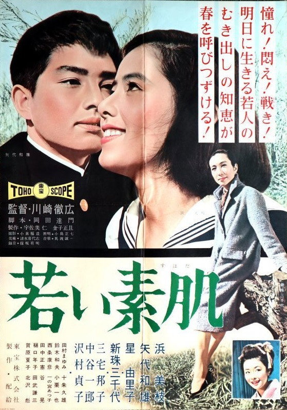 若い素肌