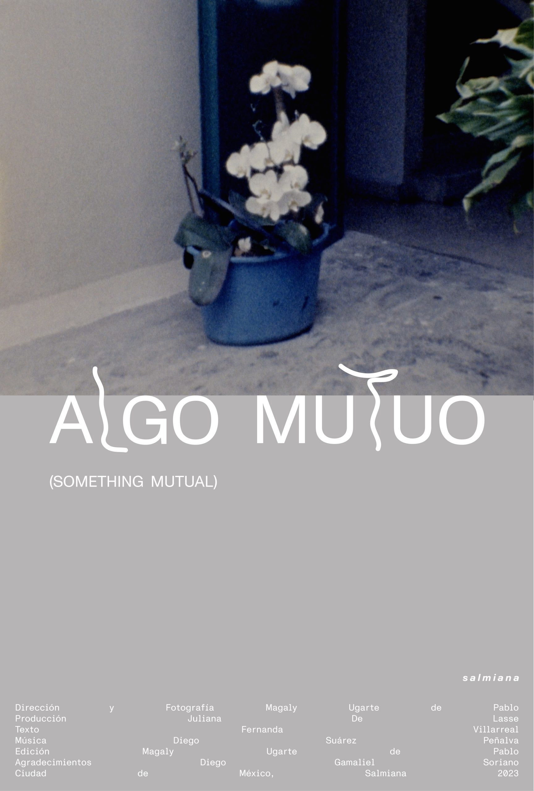 Algo mutuo