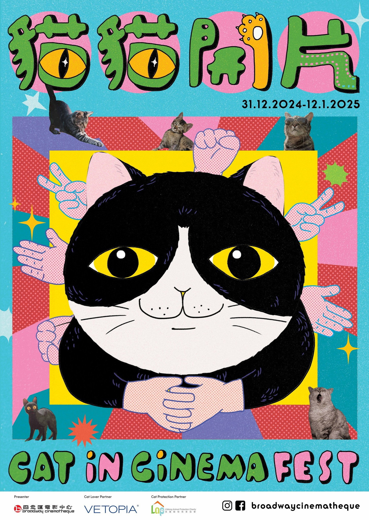 Cat Video Fest HK